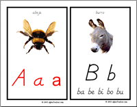 Alphabet Cards with Real Objects- Item #7